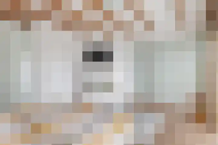 De Wiede 7 Muntendam thumbnail 21