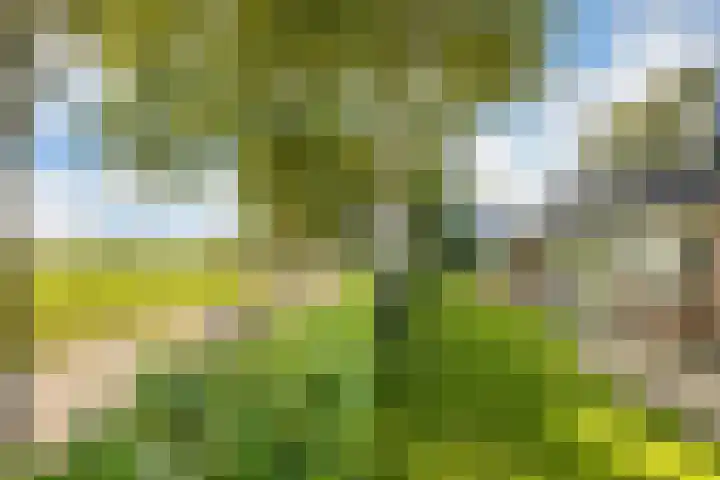 De Wiede 7 Muntendam thumbnail 29