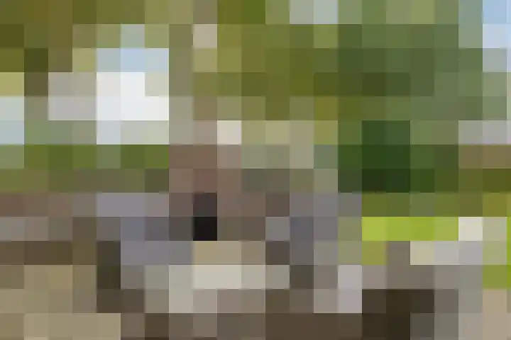 De Wiede 7 Muntendam thumbnail 32