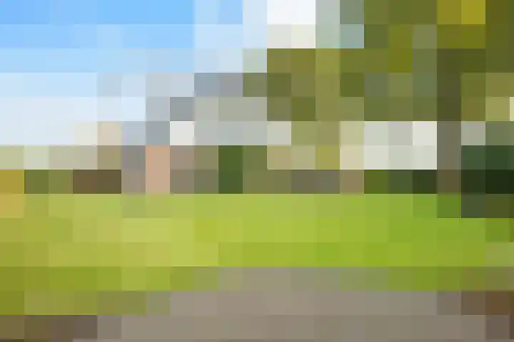 De Wiede 7 Muntendam thumbnail 35