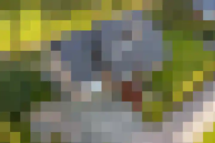 De Wiede 7 Muntendam thumbnail 39