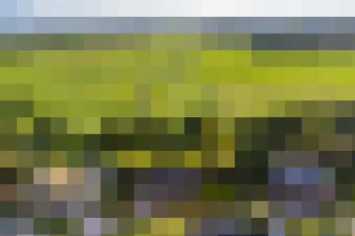 De Wiede 7 Muntendam thumbnail 43