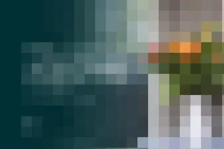 De Wiede 7 Muntendam thumbnail 6