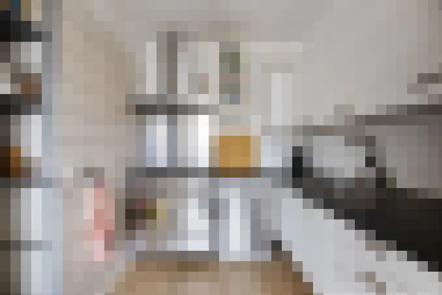 De Wiek 101 Ede thumbnail 13