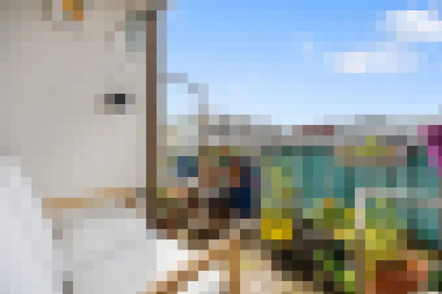 De Wiek 101 Ede thumbnail 15