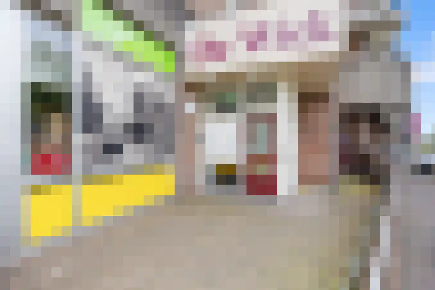 De Wiek 101 Ede thumbnail 4