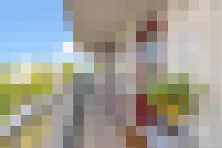 De Wiek 111 Ede thumbnail 13