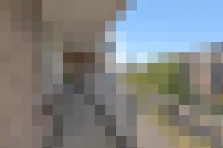 De Wiek 111 Ede thumbnail 14