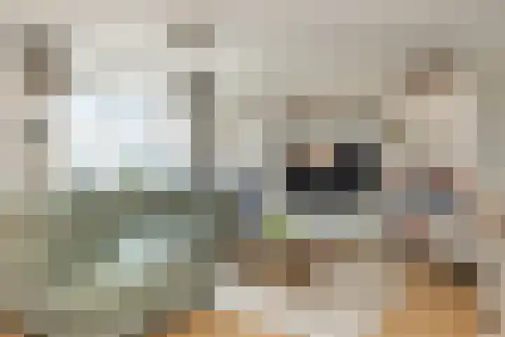 De Wiek 111 Ede thumbnail 22