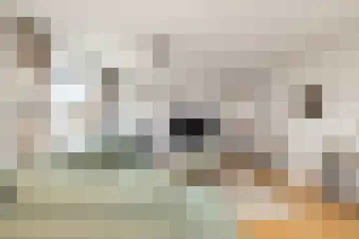 De Wiek 111 Ede thumbnail 23