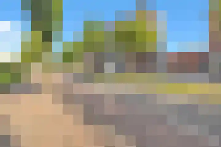 De Wiek 111 Ede thumbnail 7