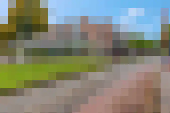 De Wiek 119 Ede thumbnail 41