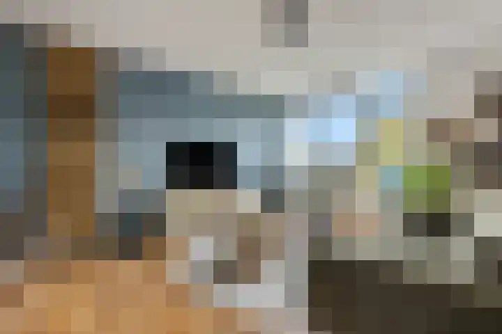 De Wiek 119 Ede thumbnail 5