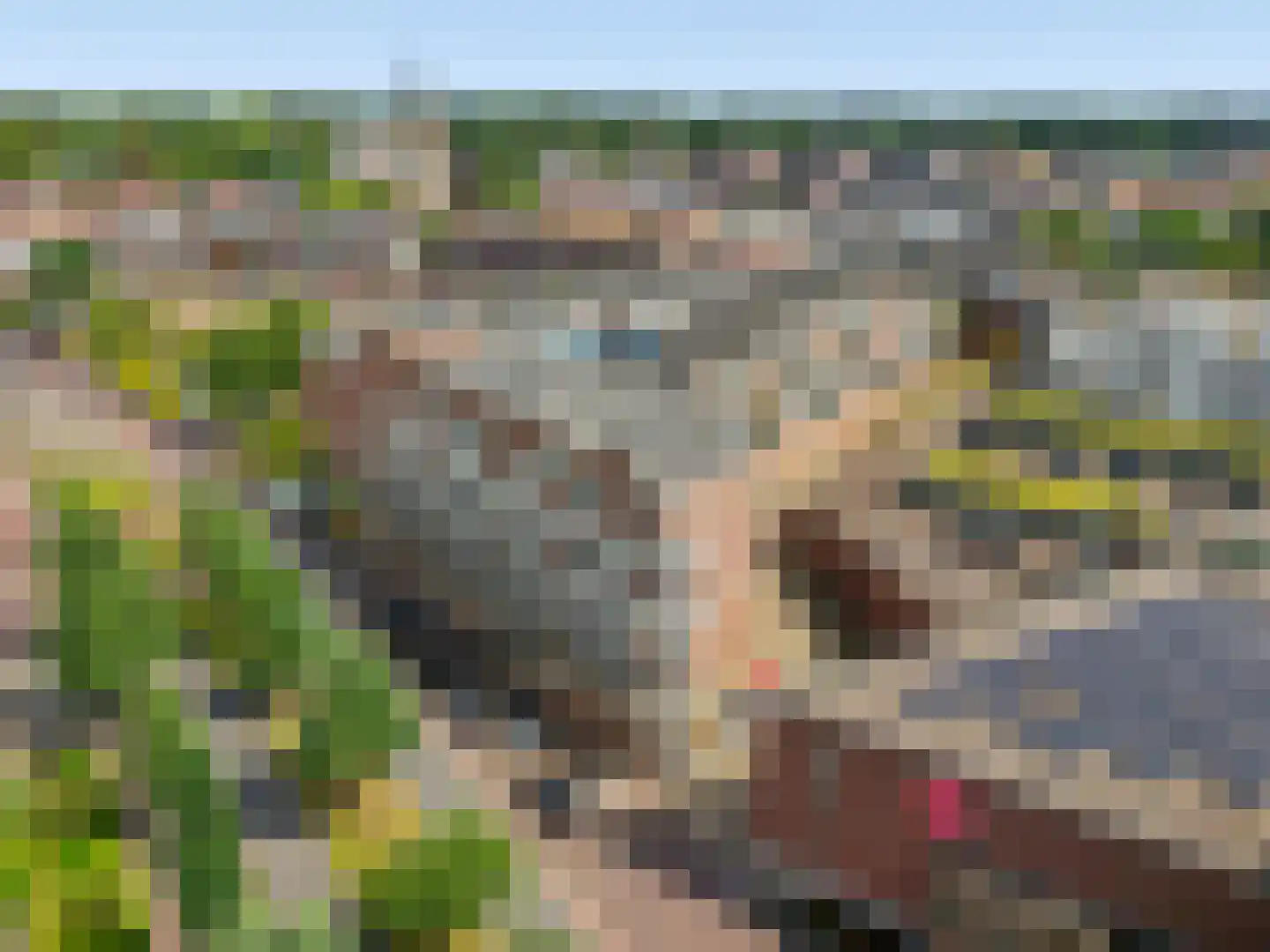 De Wiek 185 Ede thumbnail 31