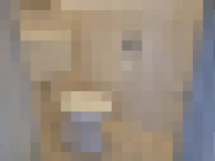 De Wiek 21 Hapert thumbnail 6