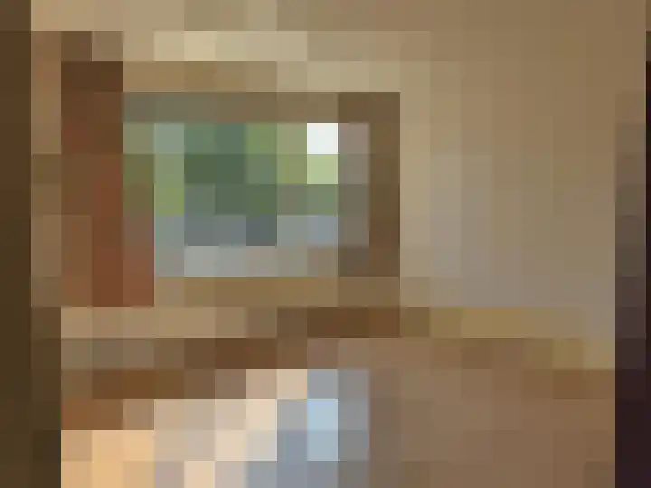 De Wiek 21 Hapert thumbnail 8