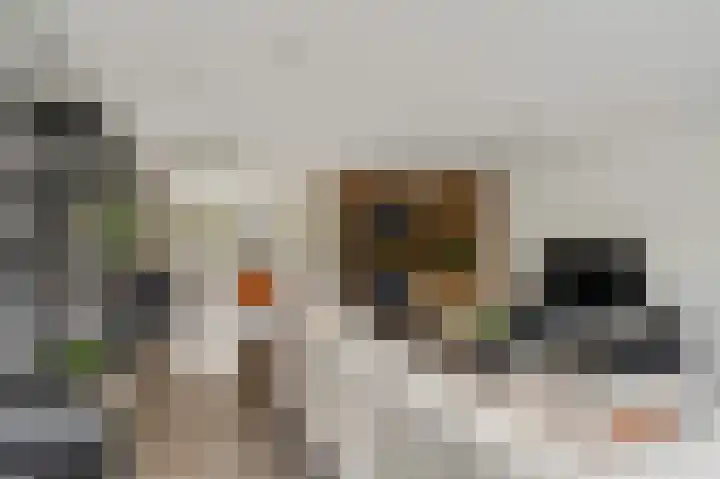 De Wiek 21 Kootwijkerbroek thumbnail 12