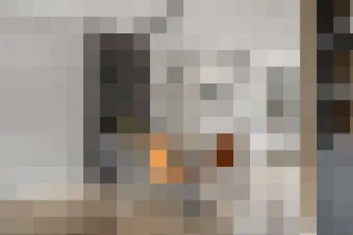 De Wiek 21 Kootwijkerbroek thumbnail 13