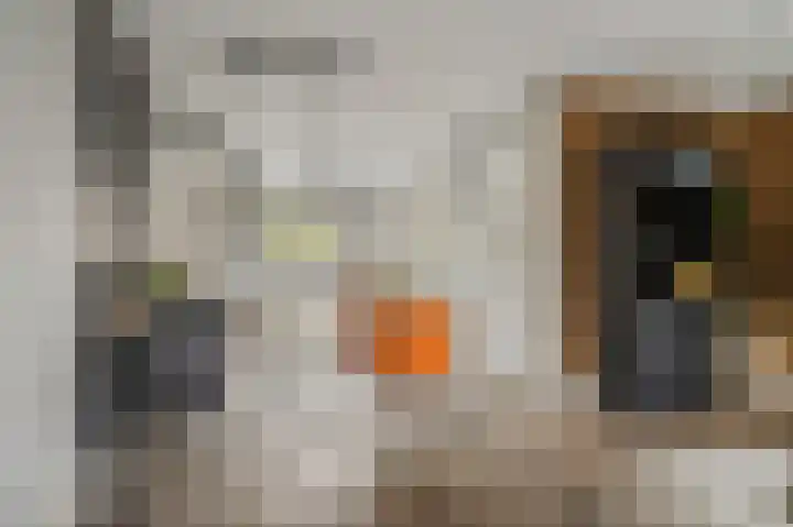 De Wiek 21 Kootwijkerbroek thumbnail 14