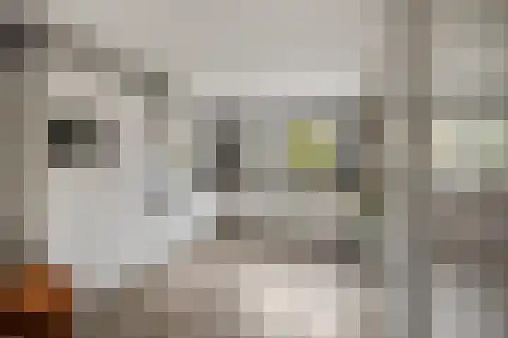De Wiek 21 Kootwijkerbroek thumbnail 15