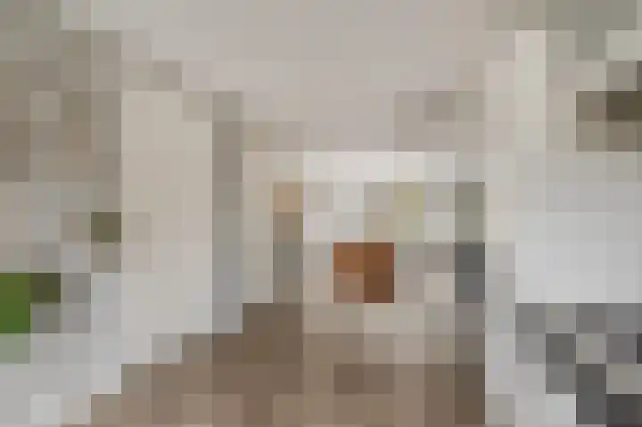 De Wiek 21 Kootwijkerbroek thumbnail 17