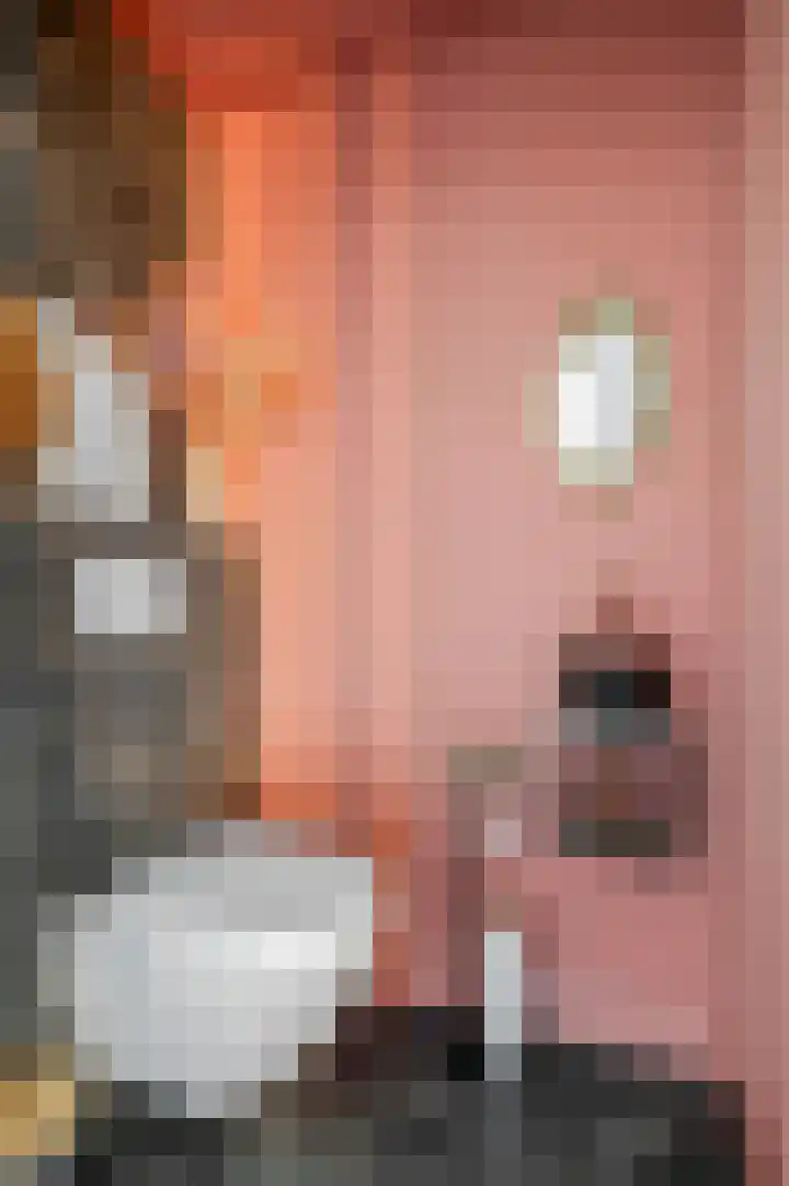 De Wiek 21 Kootwijkerbroek thumbnail 19