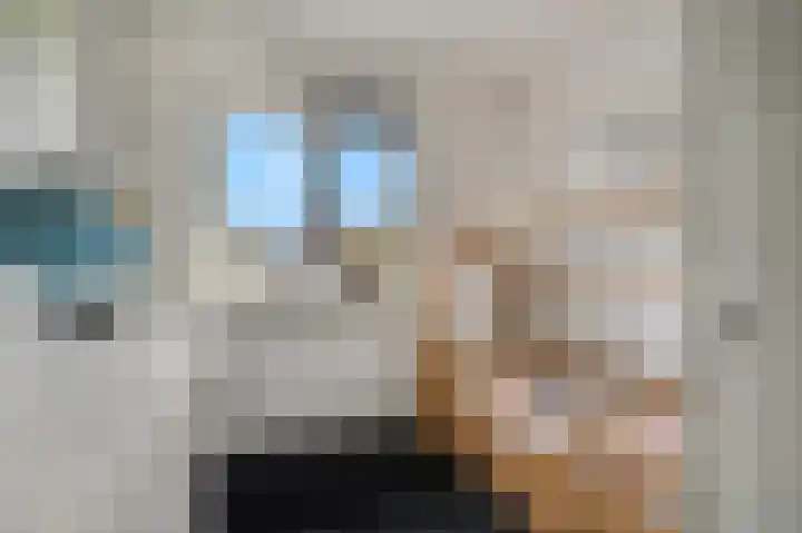 De Wiek 21 Kootwijkerbroek thumbnail 25