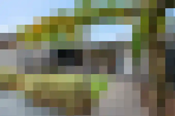 De Wiek 21 Kootwijkerbroek thumbnail 4