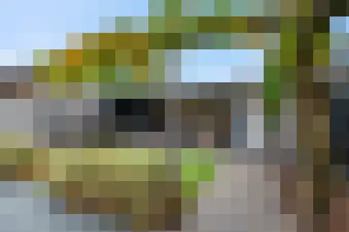 De Wiek 21 Kootwijkerbroek thumbnail 40