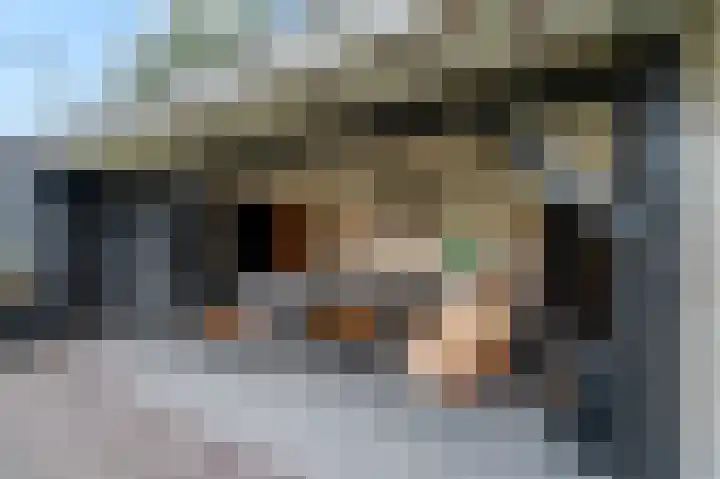 De Wiek 21 Kootwijkerbroek thumbnail 41