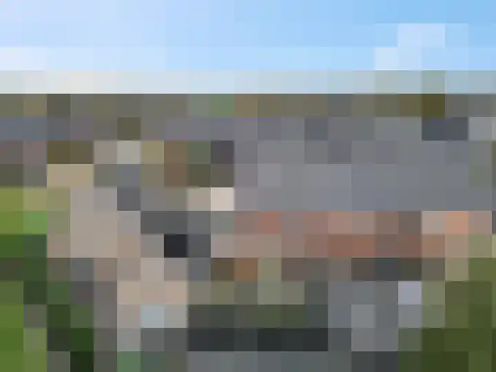 De Wiek 21 Kootwijkerbroek thumbnail 42