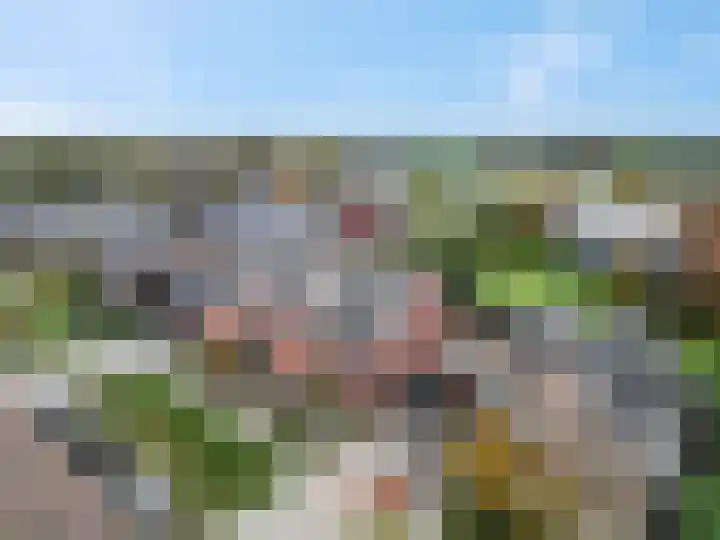 De Wiek 21 Kootwijkerbroek thumbnail 8