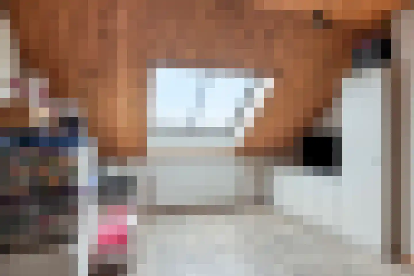 De Wiek 23 Hapert thumbnail 32