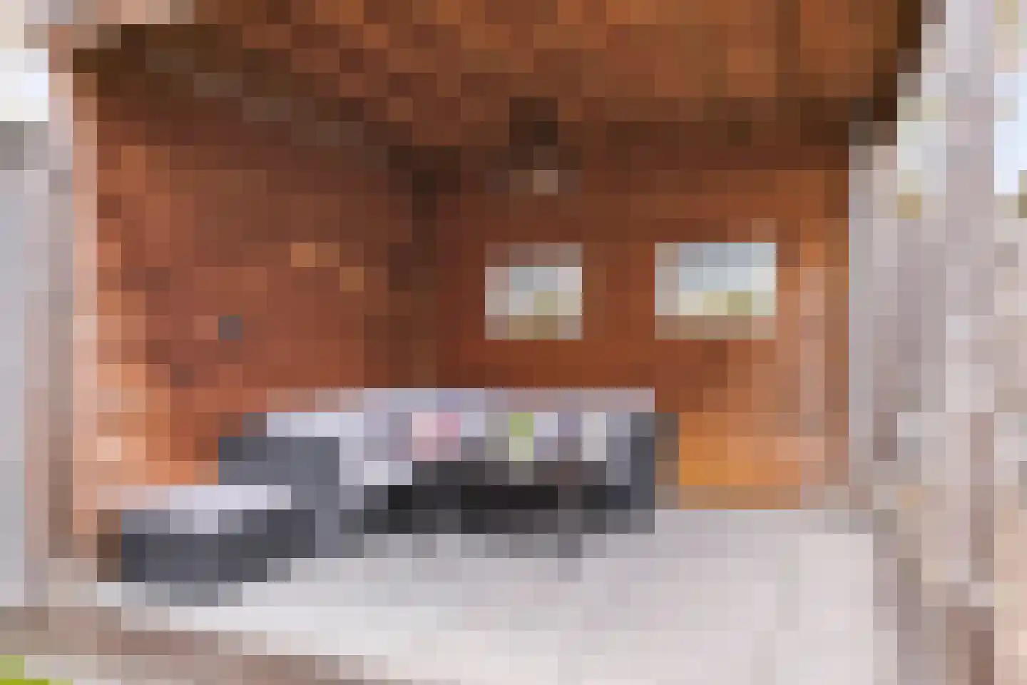 De Wiek 23 Hapert thumbnail 37