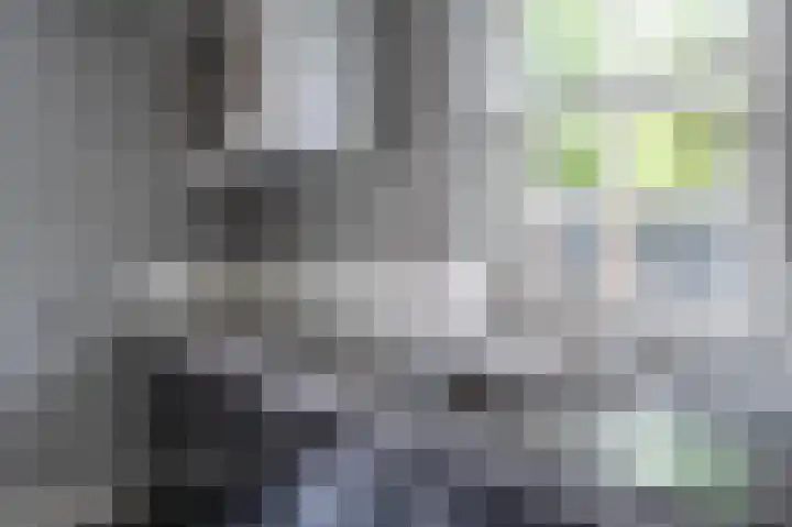 De Wiek 23 Kootwijkerbroek thumbnail 14