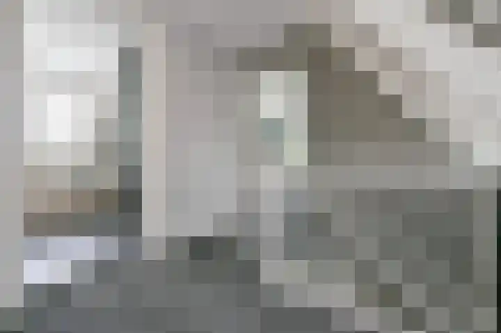 De Wiek 23 Kootwijkerbroek thumbnail 29