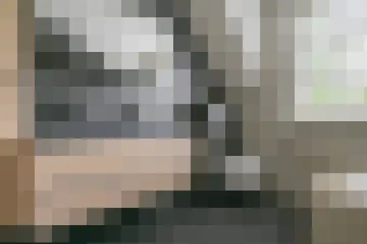 De Wiek 23 Kootwijkerbroek thumbnail 37