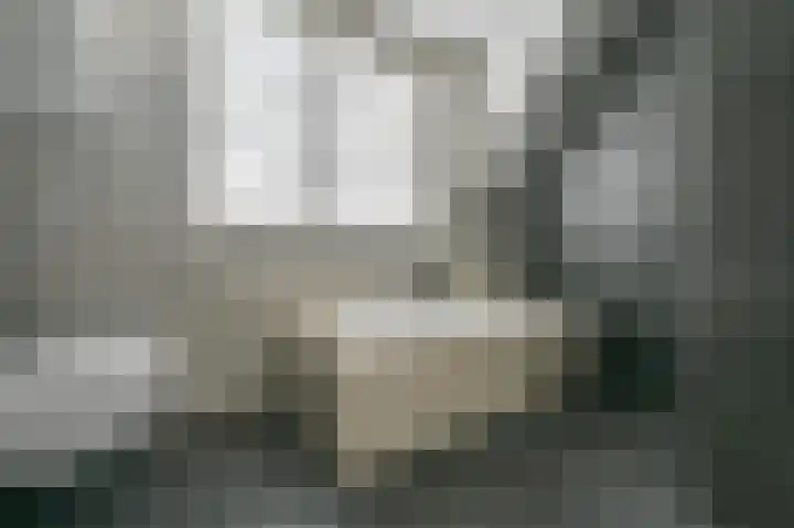 De Wiek 23 Kootwijkerbroek thumbnail 38