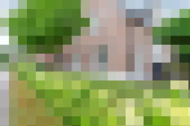 De Wiek 23 Kootwijkerbroek thumbnail 4