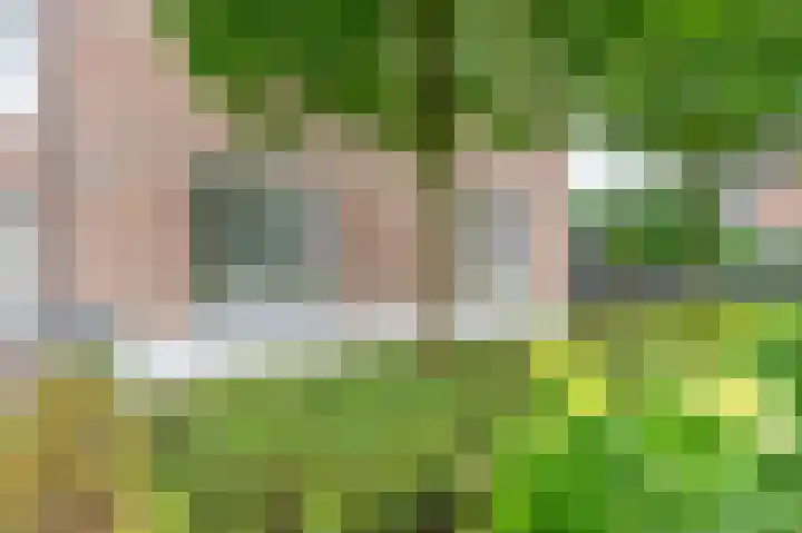 De Wiek 23 Kootwijkerbroek thumbnail 5