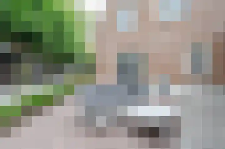 De Wiek 23 Kootwijkerbroek thumbnail 52
