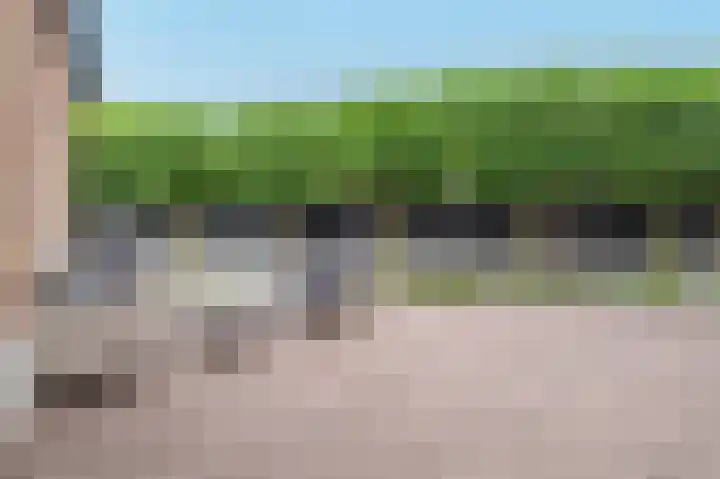 De Wiek 23 Kootwijkerbroek thumbnail 54