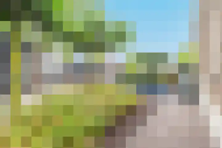 De Wiek 23 Kootwijkerbroek thumbnail 57
