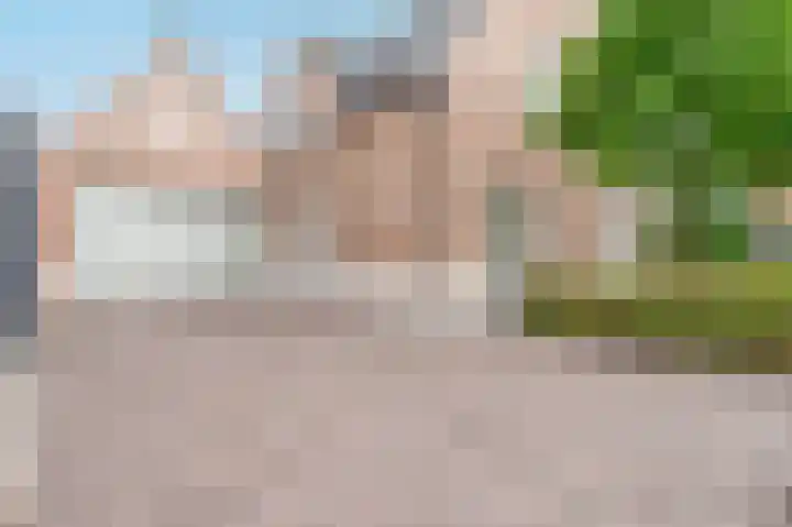De Wiek 23 Kootwijkerbroek thumbnail 6