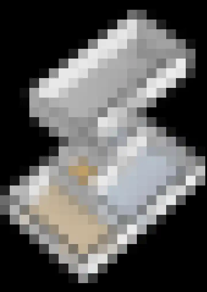 De Wiek 23 Kootwijkerbroek thumbnail 60