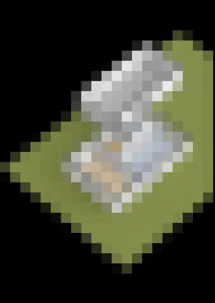 De Wiek 23 Kootwijkerbroek thumbnail 64