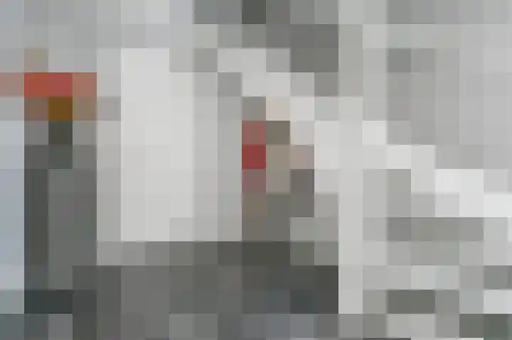 De Wiek 23 Kootwijkerbroek thumbnail 9