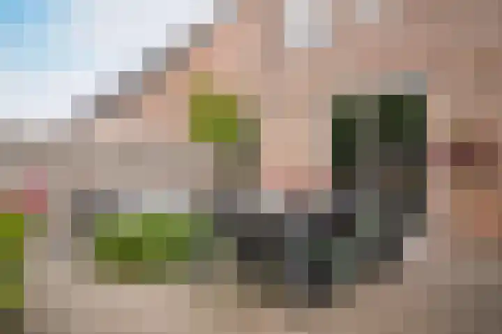 de Wiek 26 Wijk en Aalburg thumbnail 27