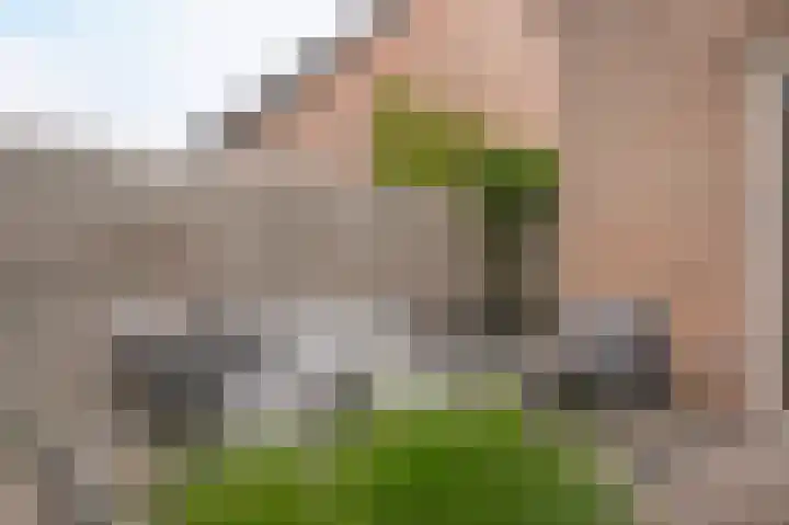 de Wiek 26 Wijk en Aalburg thumbnail 28