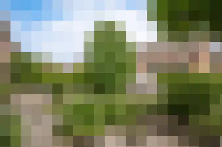 de Wiek 26 Wijk en Aalburg thumbnail 32